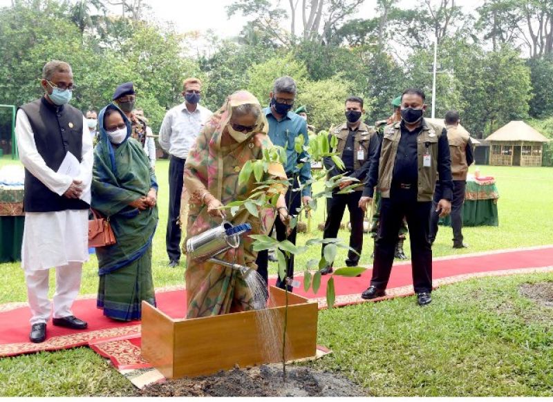 Prime Minister Sheikh Hasina planting a sappling inside Ganabhaban on Saturday launching the tree plantation campaign 2021-1587d8519cd5ae65465428aa5a0770ff1622915275.jpg